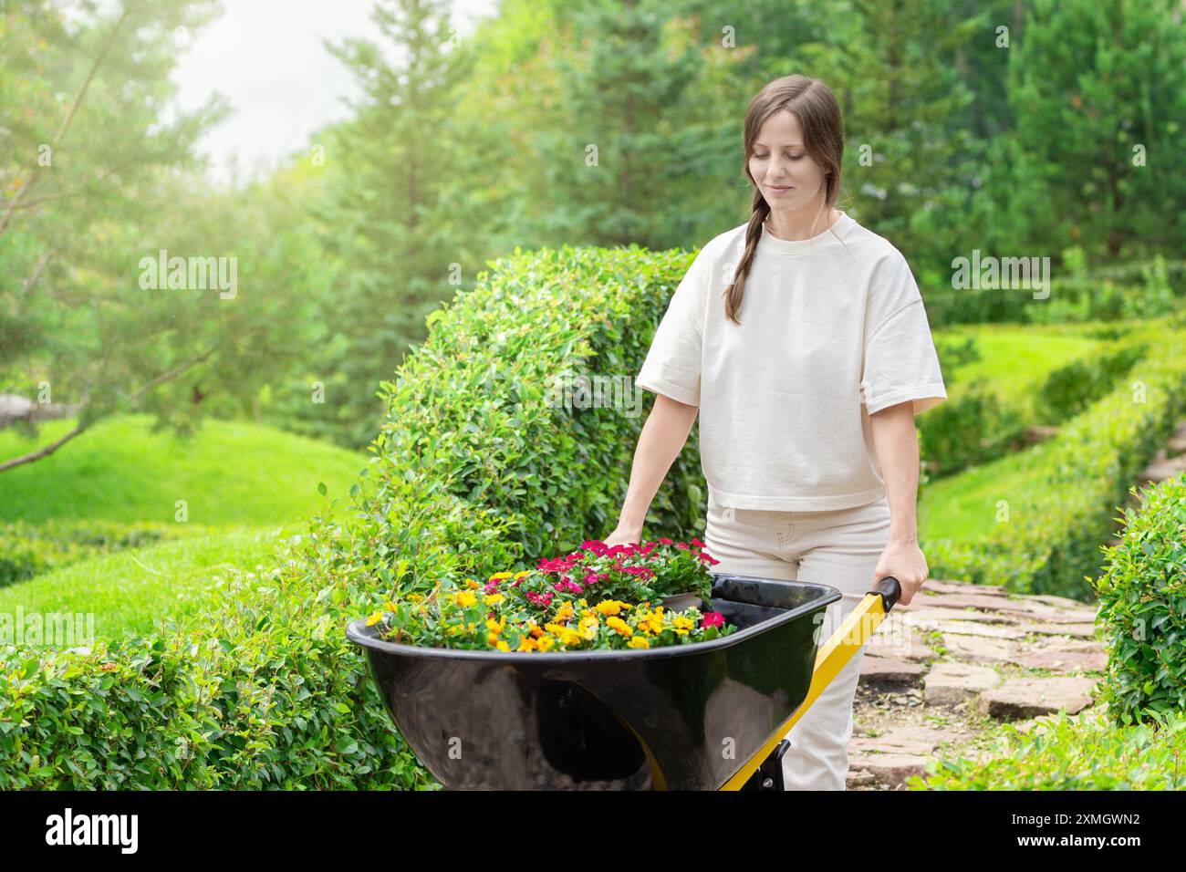 A woman is gardening in a green garden, moving a wheelbarrow with ...