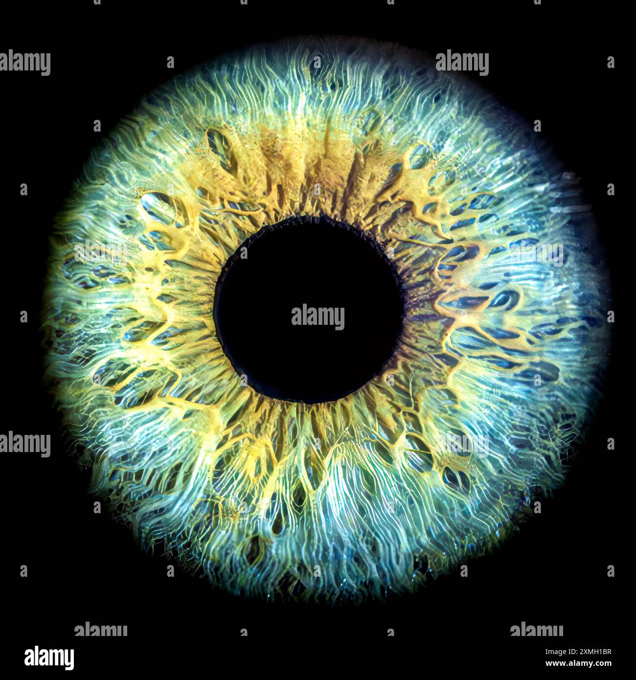 Captivating closeup photograph highlighting the detailed patterns and ...