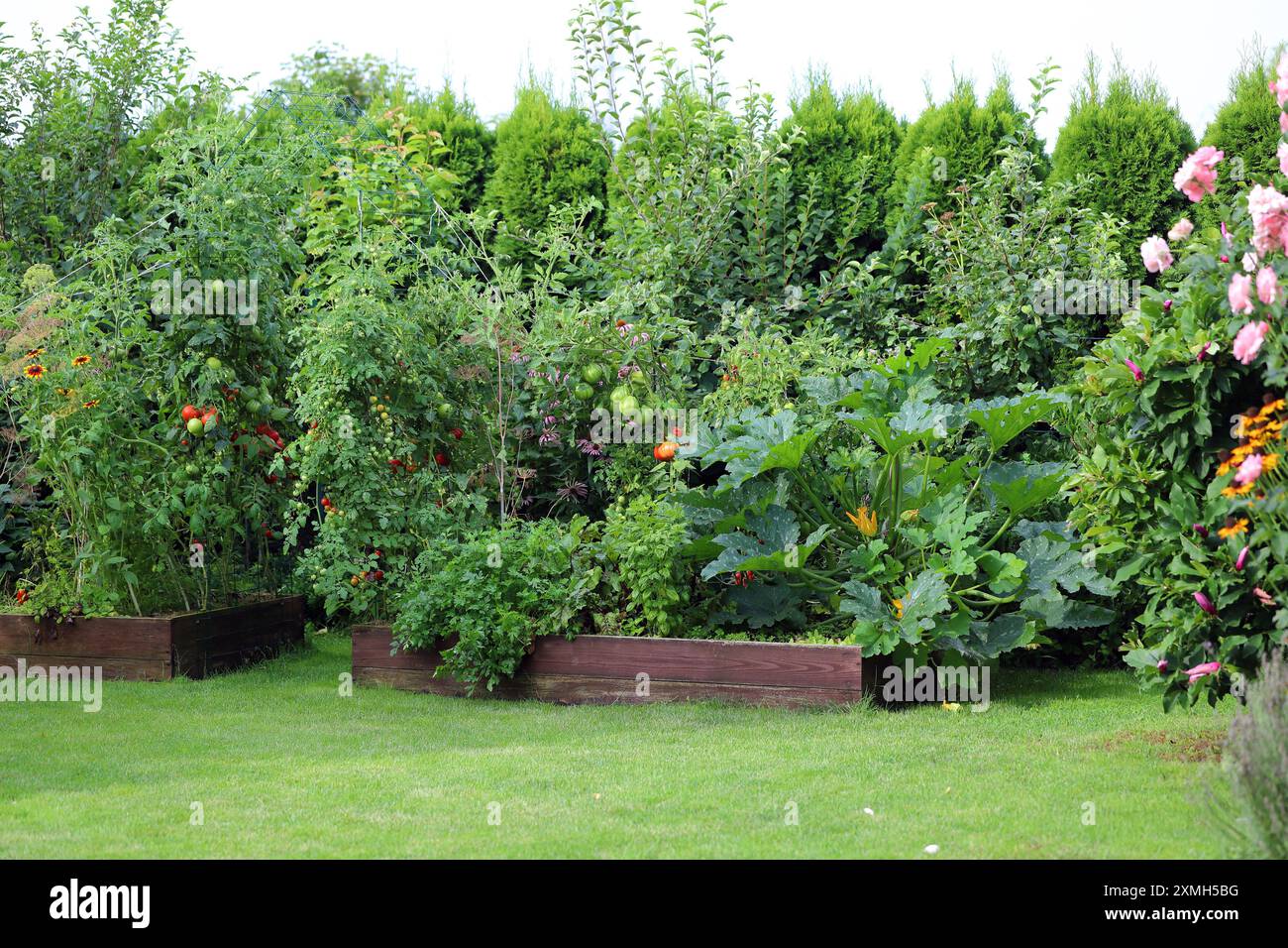 Raised bed vegetables flowers hi-res stock photography and images - Alamy
