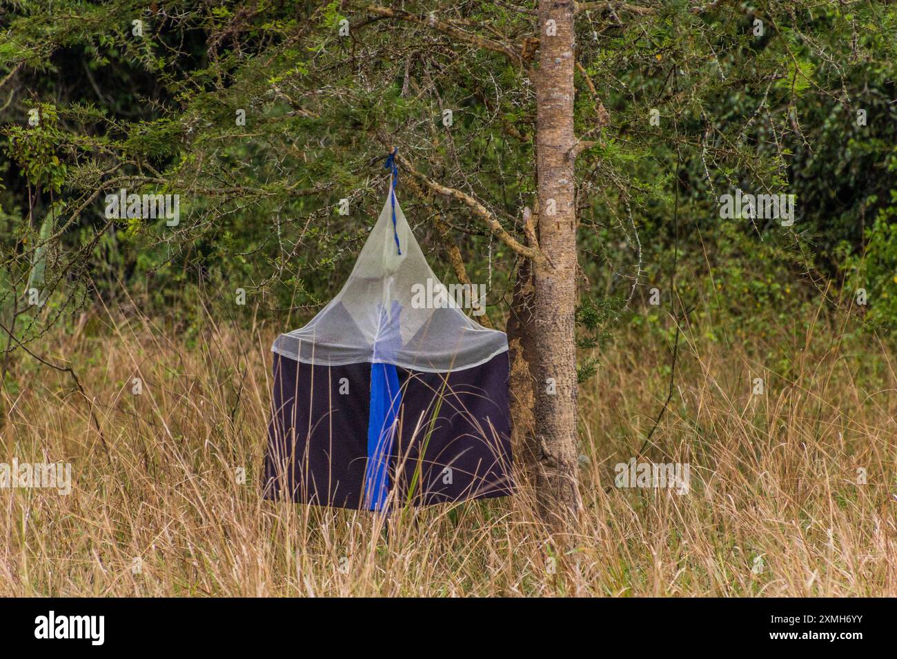 Tse tse fly trap in Ziwa Rhino Sanctuary, Uganda Stock Photo