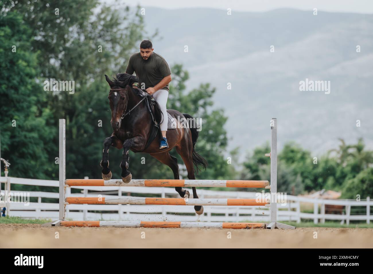 Rider and horse jumping over an obstacle in an outdoor equestrian event ...