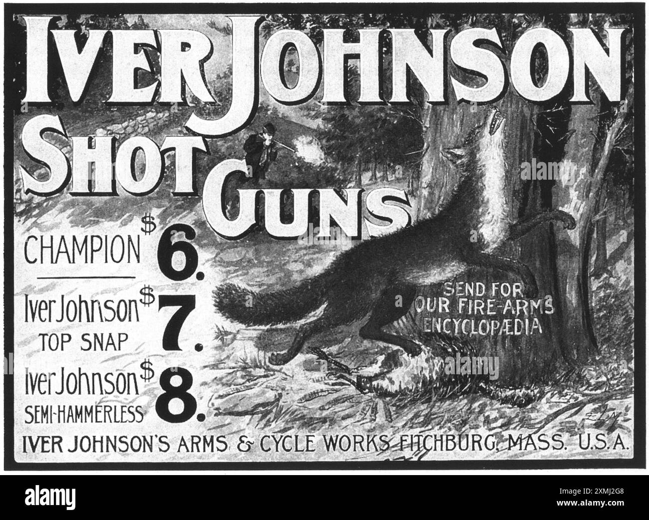 1903 Iver Johnson Shotguns ad Stock Photo