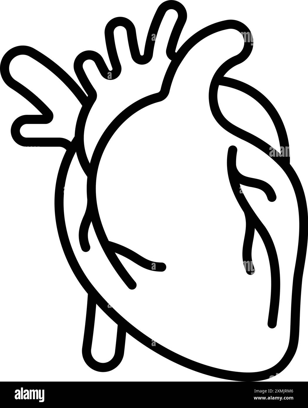 heart, organ, human, body, internal, anatomy, blood Stock Vector Image ...