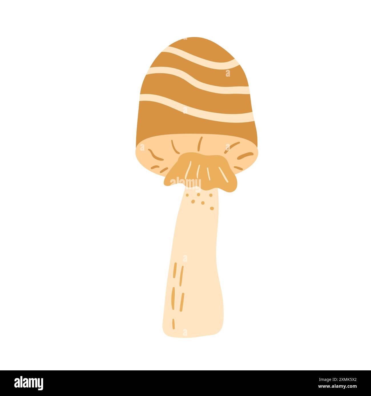 Toadstool isolated on white background. Inedible mushroom. Vector hand ...