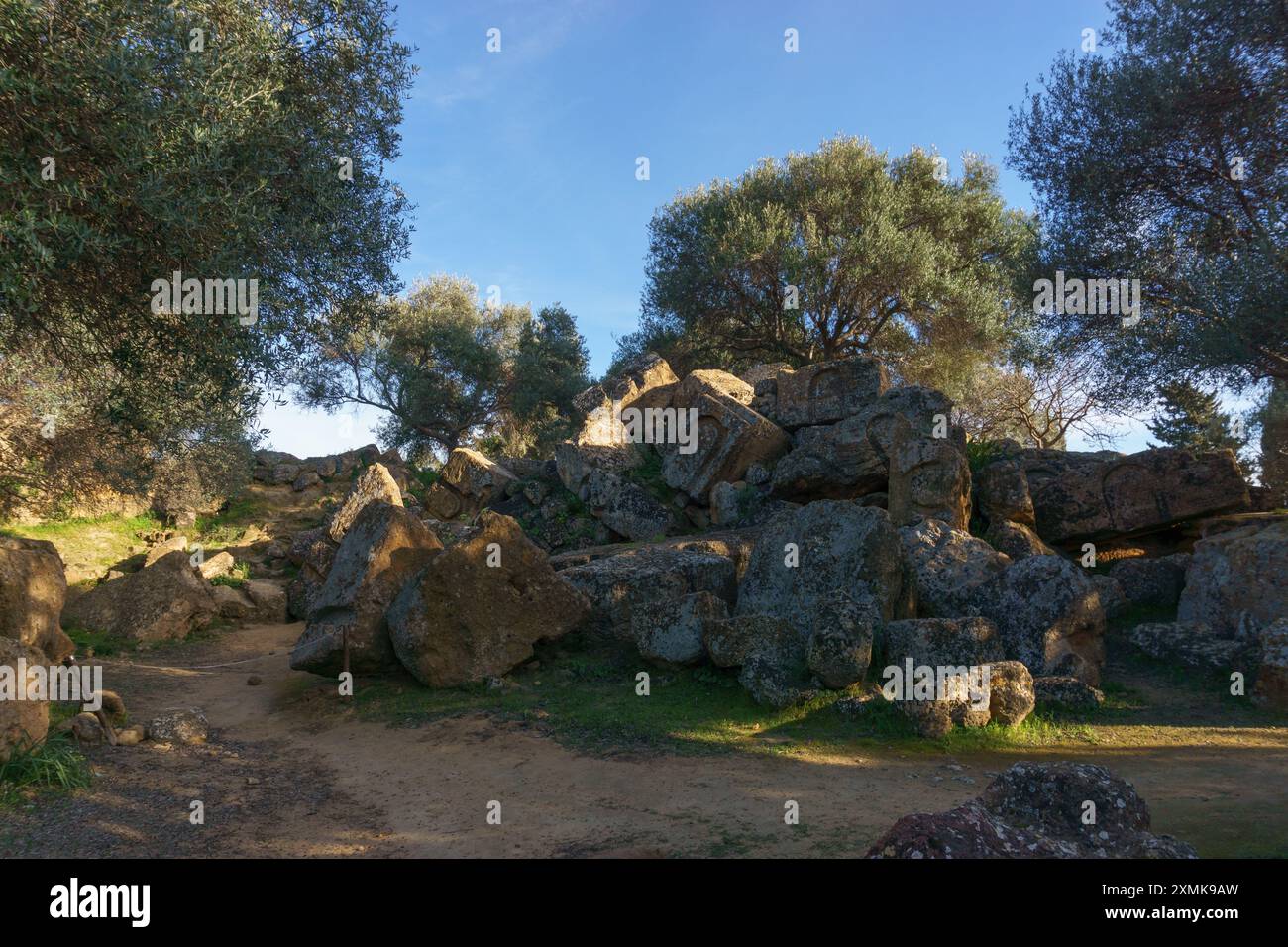 Olive trees growing at ancient heap of stones at Valley of the 