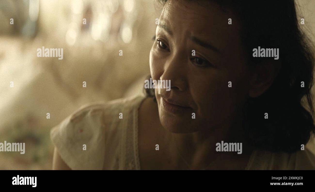 DIDI, Joan Chen, 2024. © Focus Features / courtesy Everett Collection Stock  Photo - Alamy, image size:1300x793