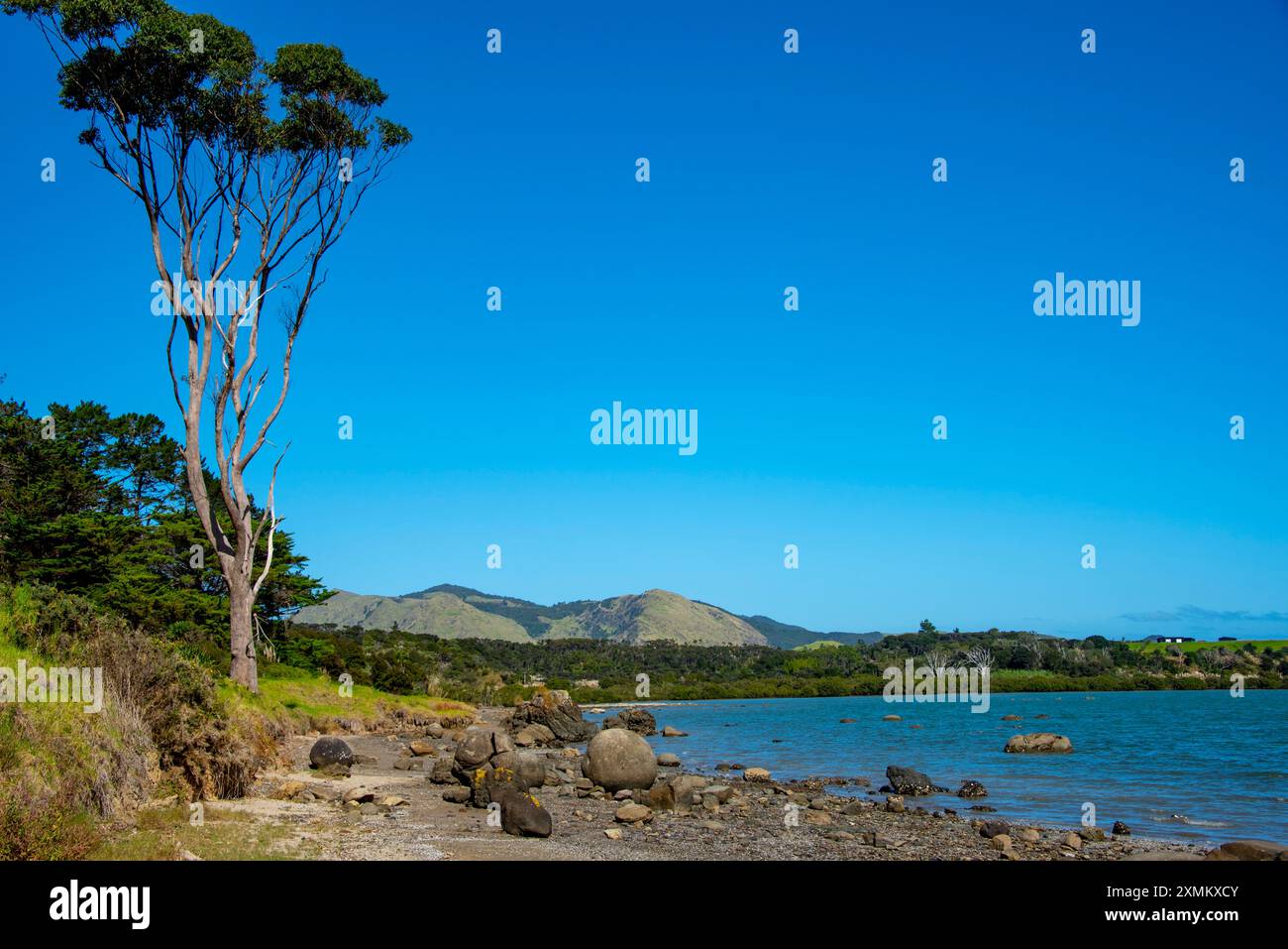 New zealand hokianga hi-res stock photography and images - Alamy