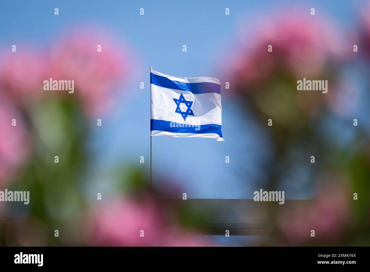 An Israeli flag flies atop a building, framed by pink flowers, in downtown Tel Aviv. Stock Photo