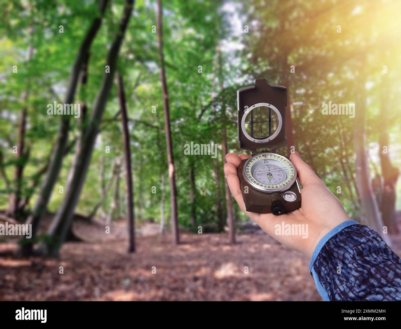 Compass in the forest hi-res stock photography and images - Alamy
