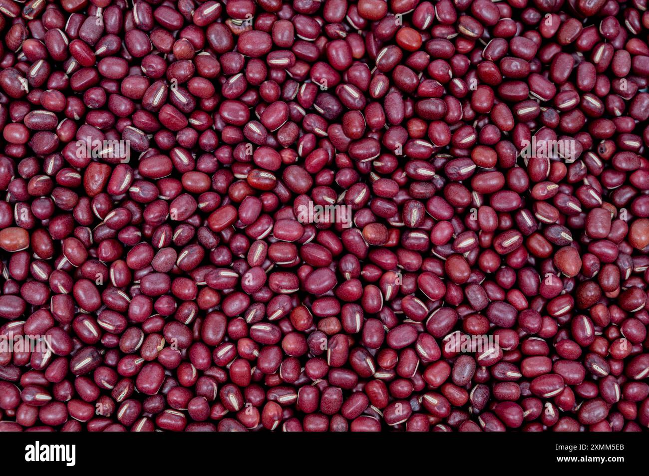 Adzuki beans background and texture, close up Stock Photo - Alamy