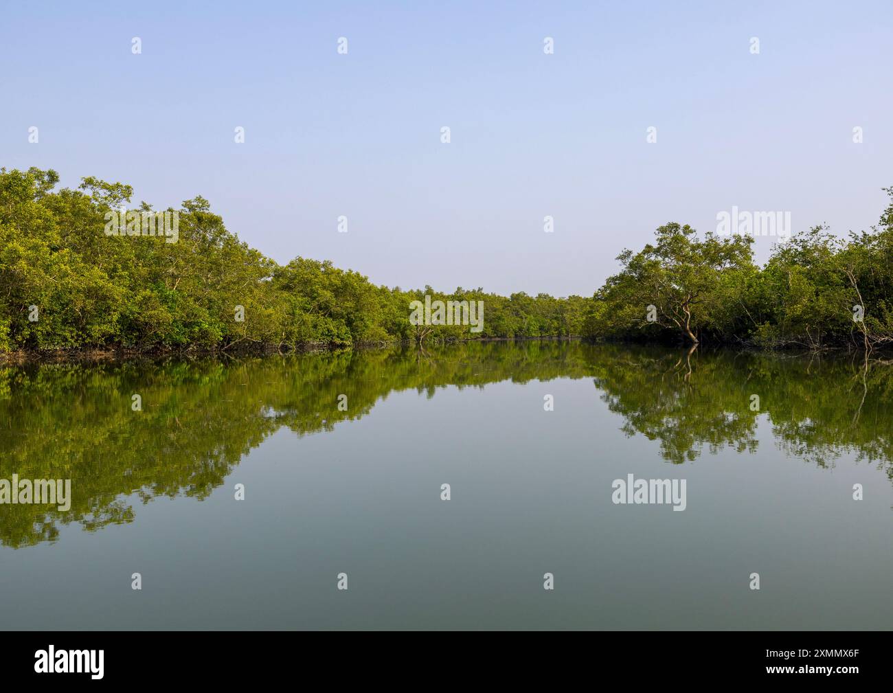 Shyamnagar Mangrove in the Sundarbans, Khulna Division, Shyamnagar, Bangladesh ...