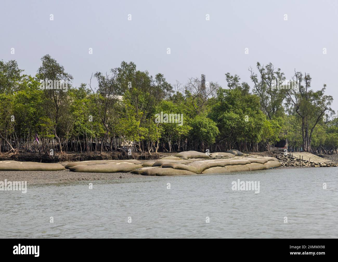 Shyamnagar Protection from erosion in the sundarbans, Khulna Division, Shyamnagar ...