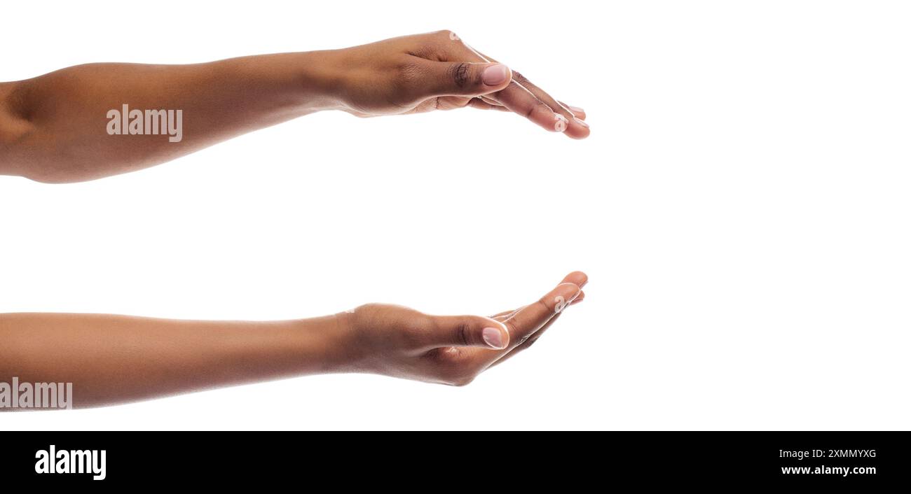 Black Woman's Hands Holding Something Isolated On White Background ...