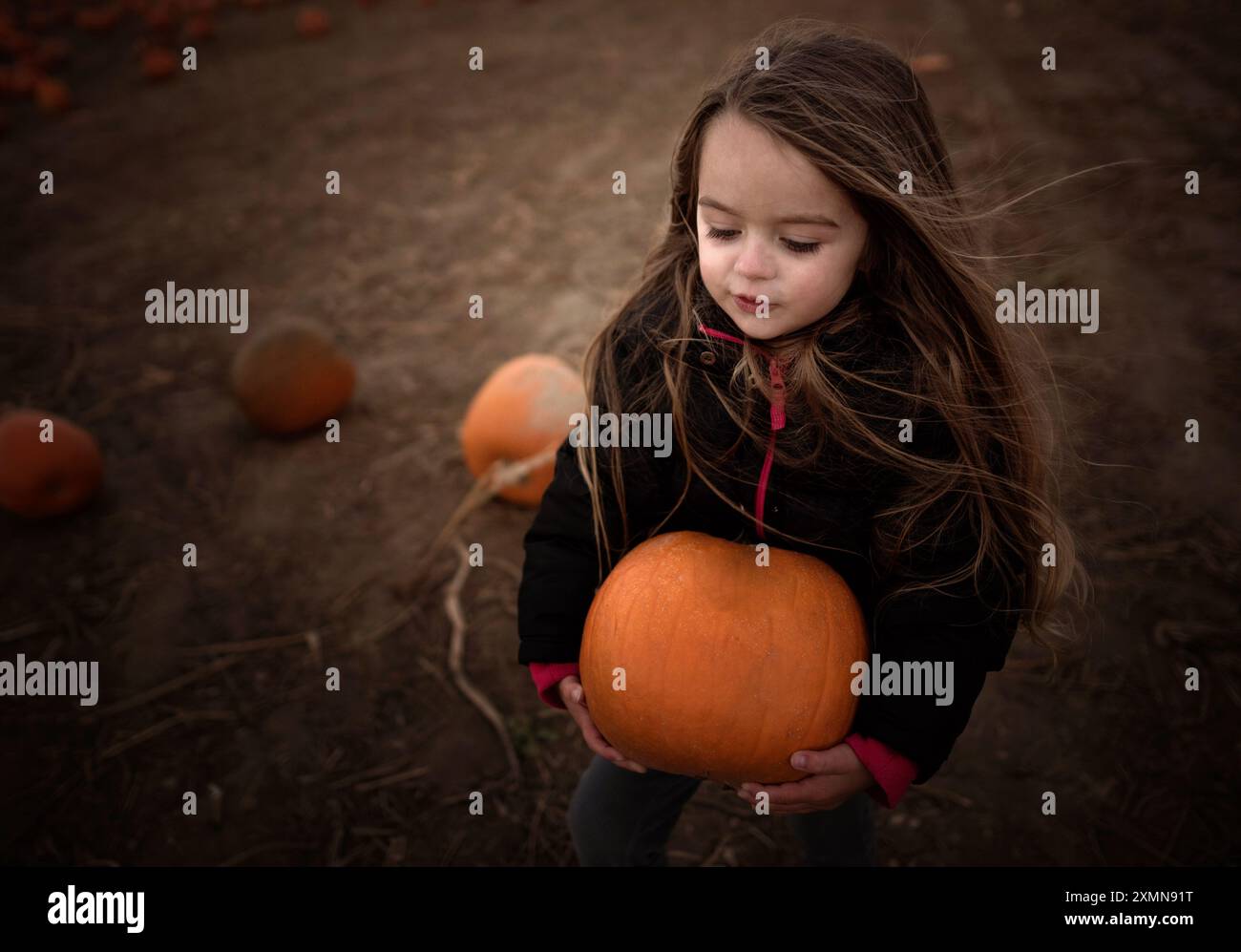 Beautiful little girl carrying large orange pumpkin Stock Photo - Alamy