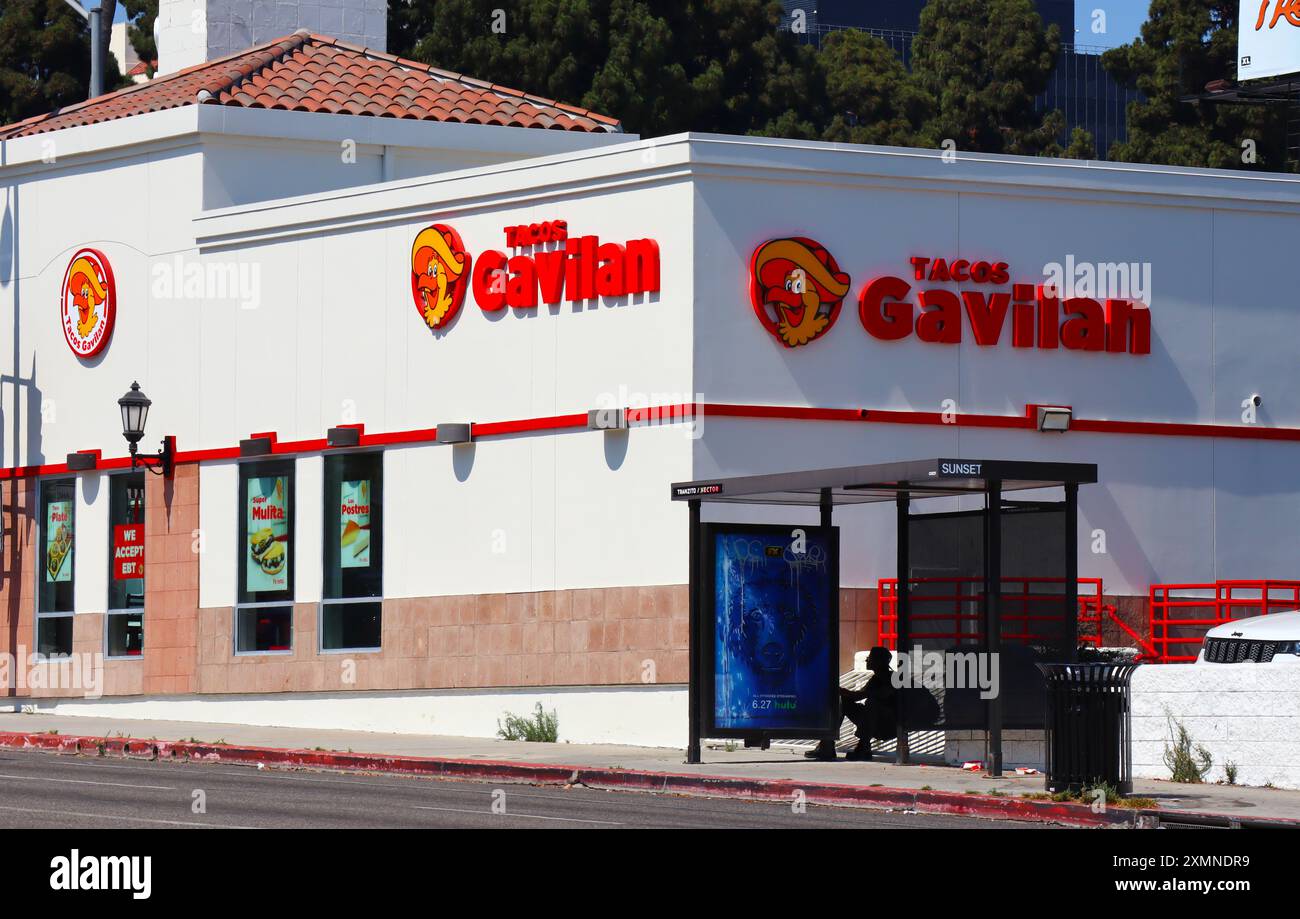 Tacos gavilan near me