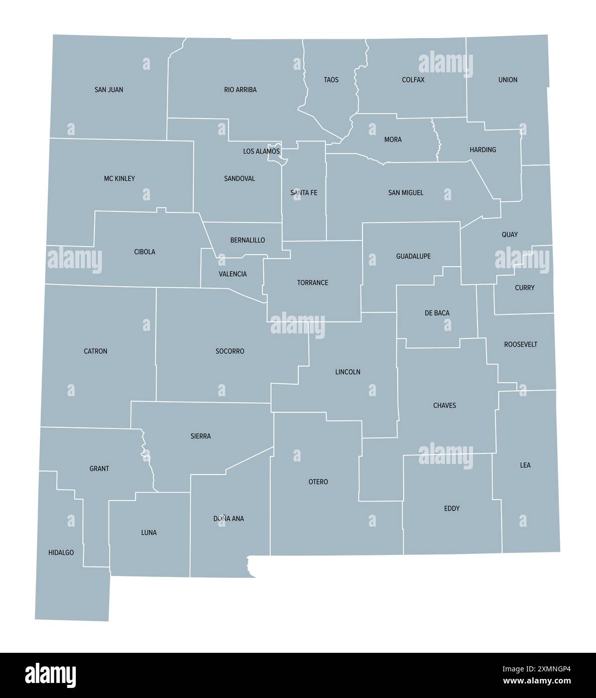 New Mexico counties gray political - New Mexico Counties Gray Political Map With Borders And County Names State In The Southwestern Region Of The United States 2XMNGP4