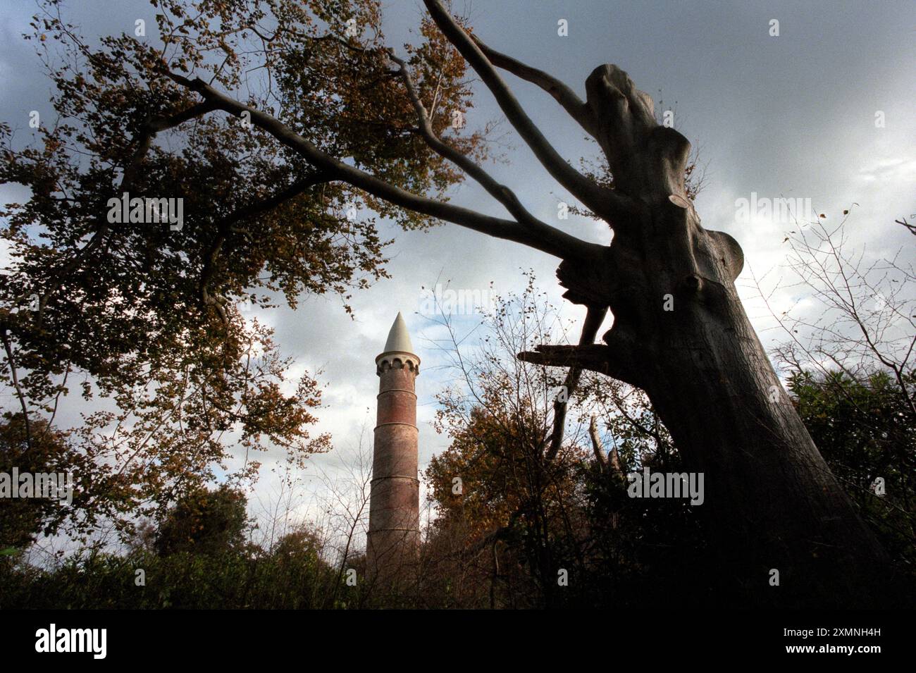 A Grade 2 listed 1828 built folly tower, 64 feet high , situated on the top of a hill in a historic wood with an iron age fort is up for sale for £350,000.  The folly , which now houses Mercury phone aerial communications site in 170 acres at Saxonbury , near Mayfield, East Sussex , and brings in £5,000 rent from the phone company.  The Saxonbury Tower is part of the Eridge Old Deer Park built by the 2nd Earl of Abergavenny in 1828 as an observatory . 6 November 1998    Picture by Roger Bamber Stock Photo