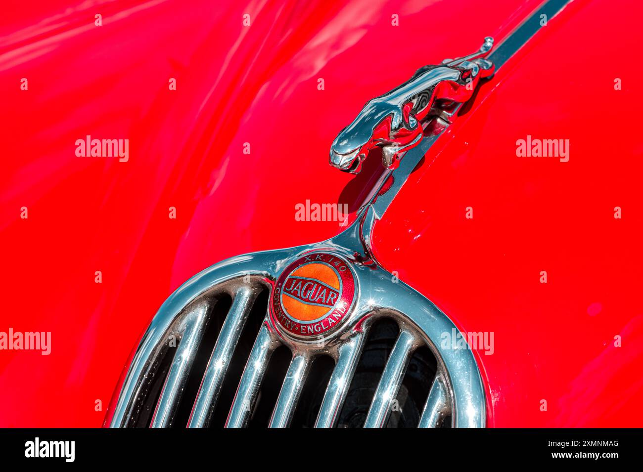 A bright red bonnet, or hood, on a classic Jaguar XK140 sports car, Ropley, Hampshire, UK Stock Photo