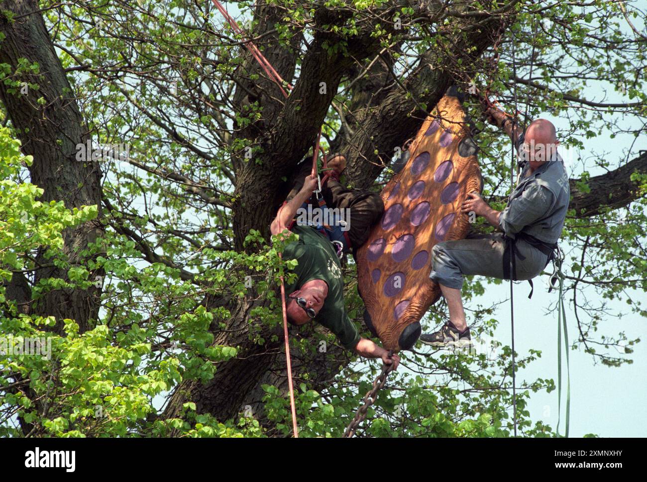 High In The Branches Hi res Stock Photography And Images Alamy high-in-the-branches-hi-res-stock-photography-and-images-alamy