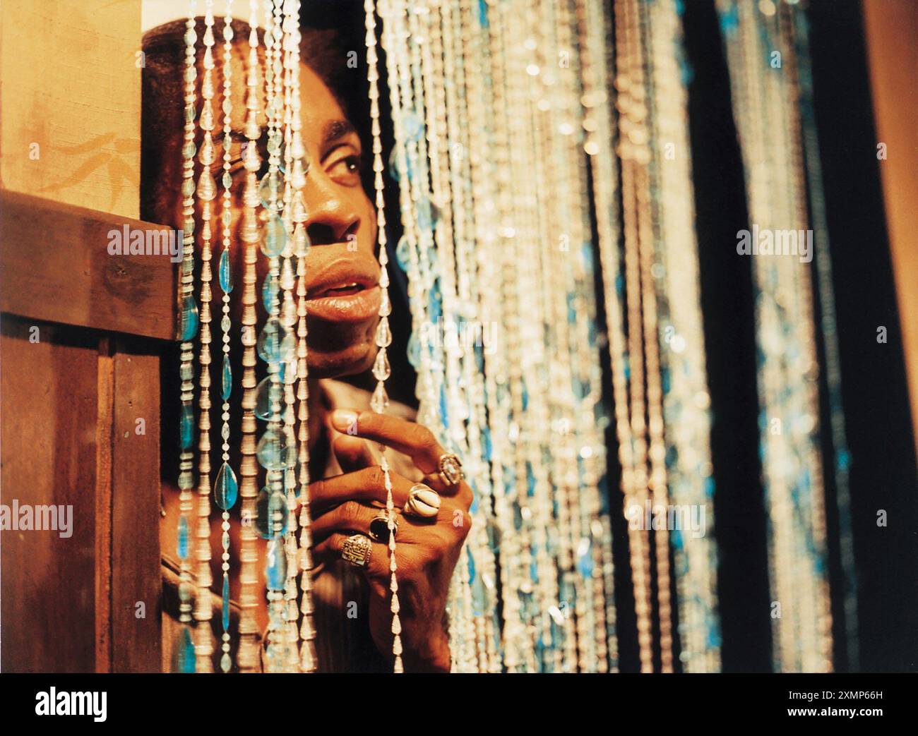 Бразилиялық трансвеститтердің фотосуреттерін қараңыз