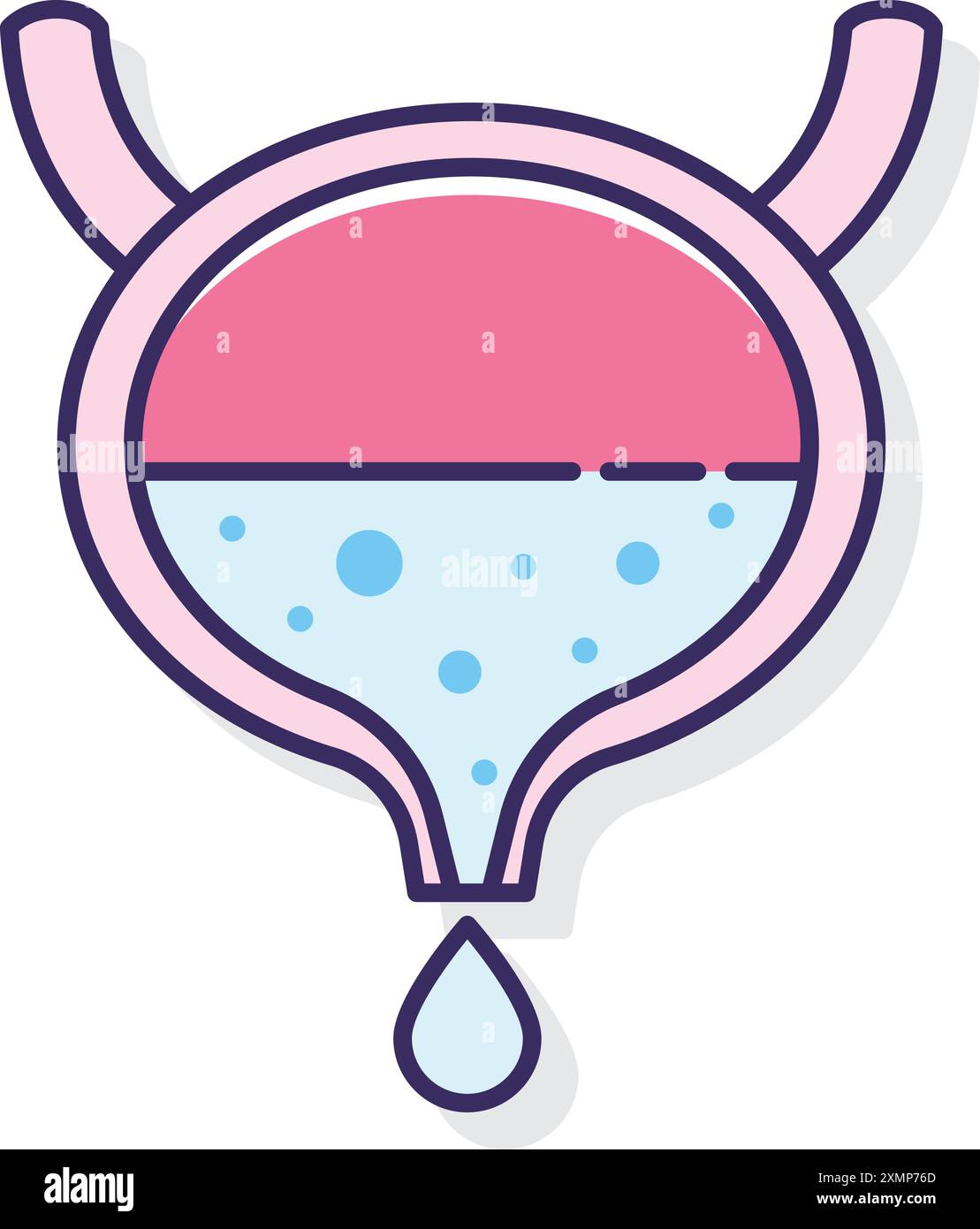Bladder Stock Vector Images - Alamy