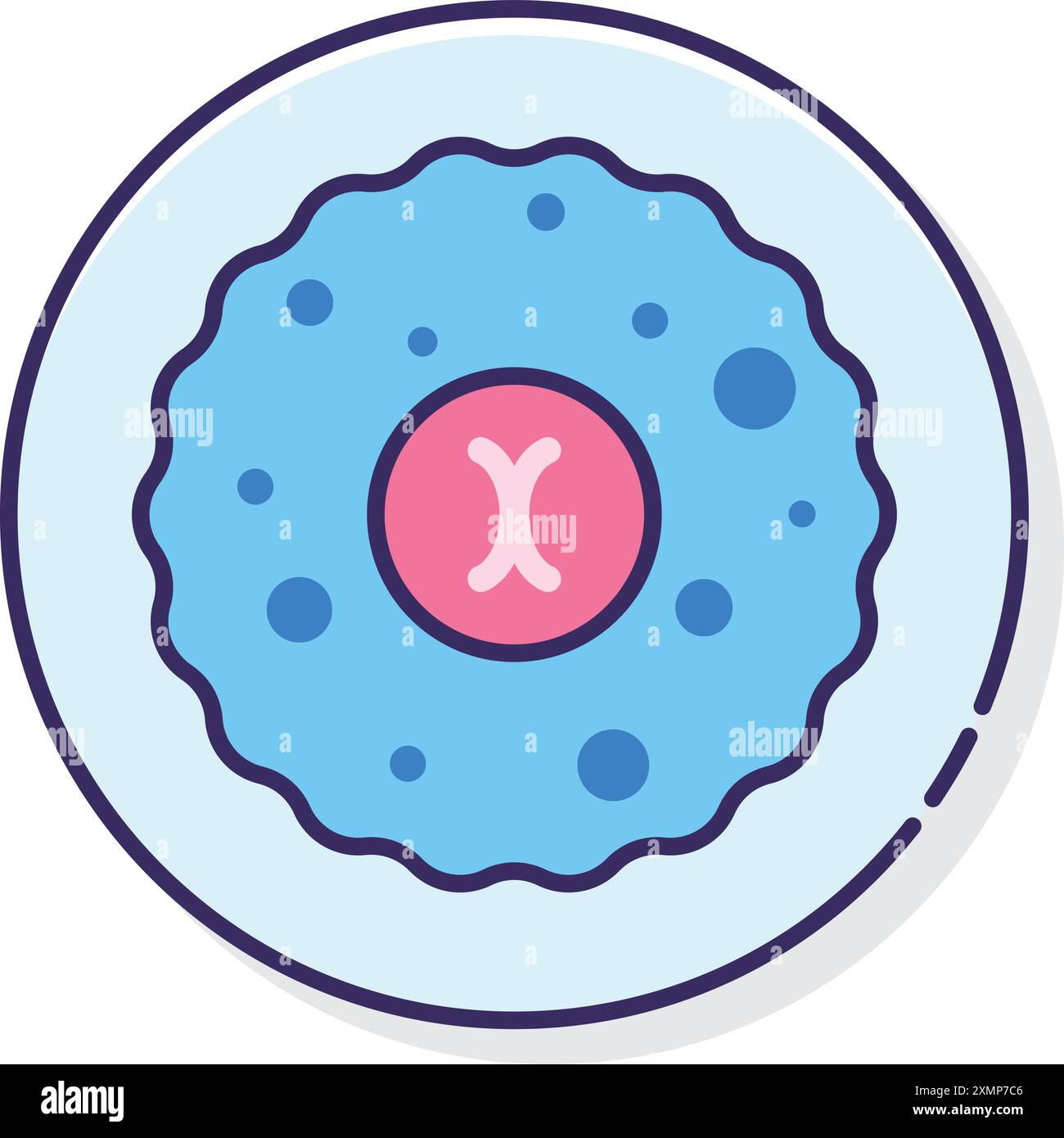Cells Stock Vector