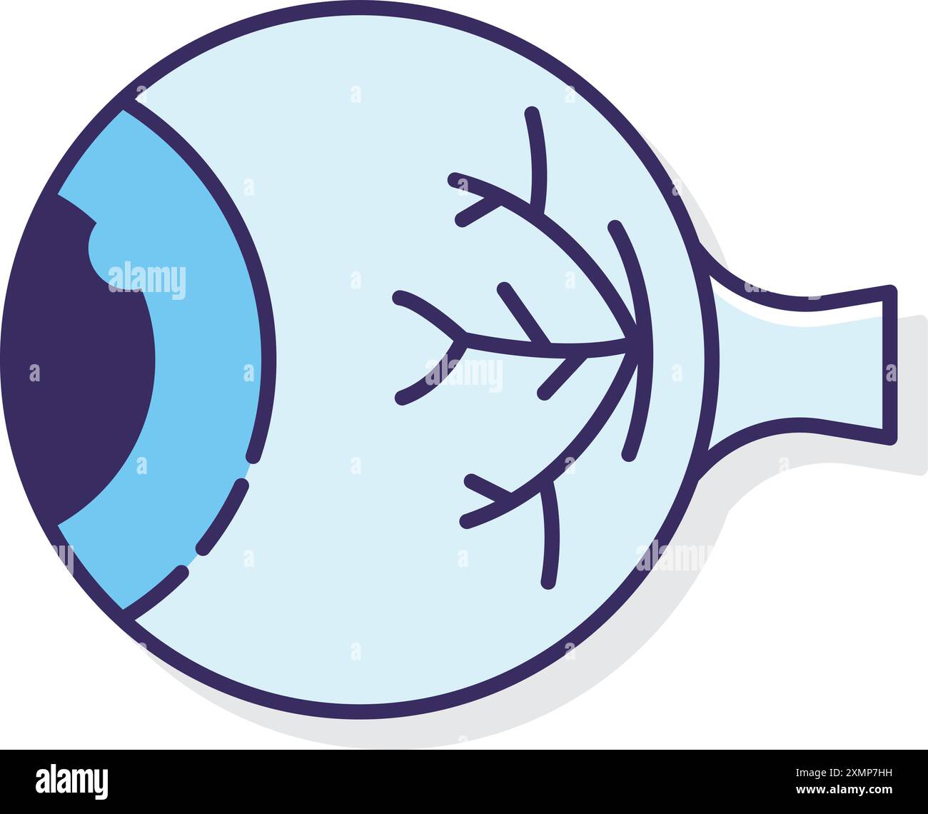 Eye Stock Vector