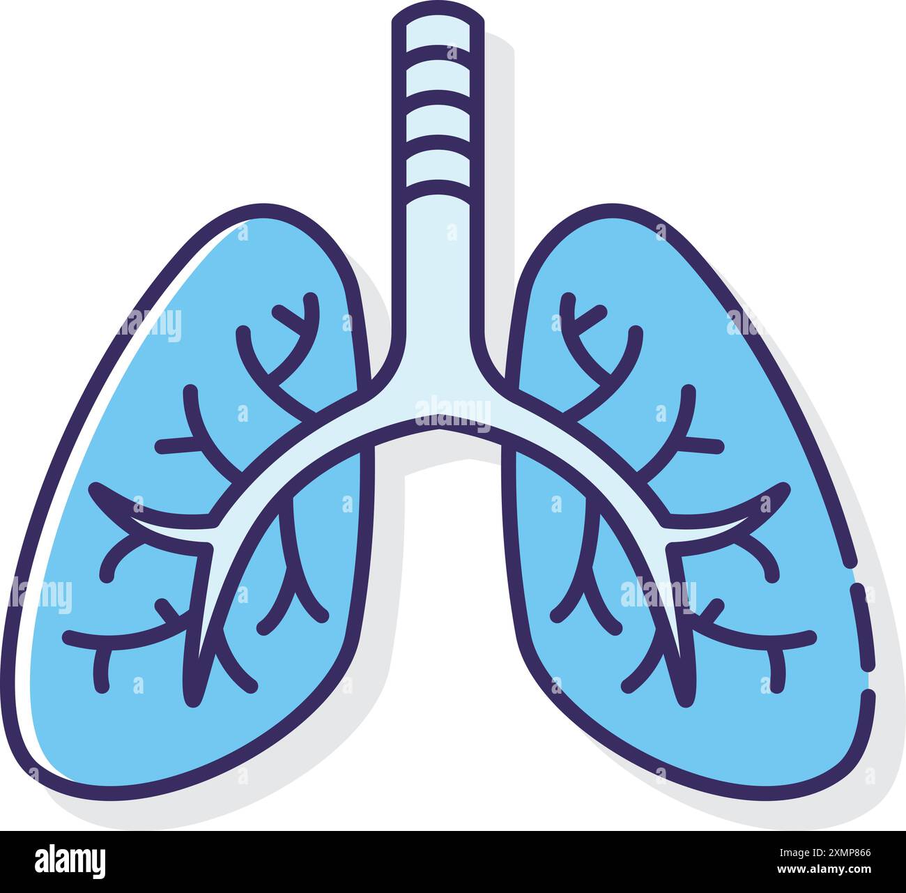 Lungs Stock Vector