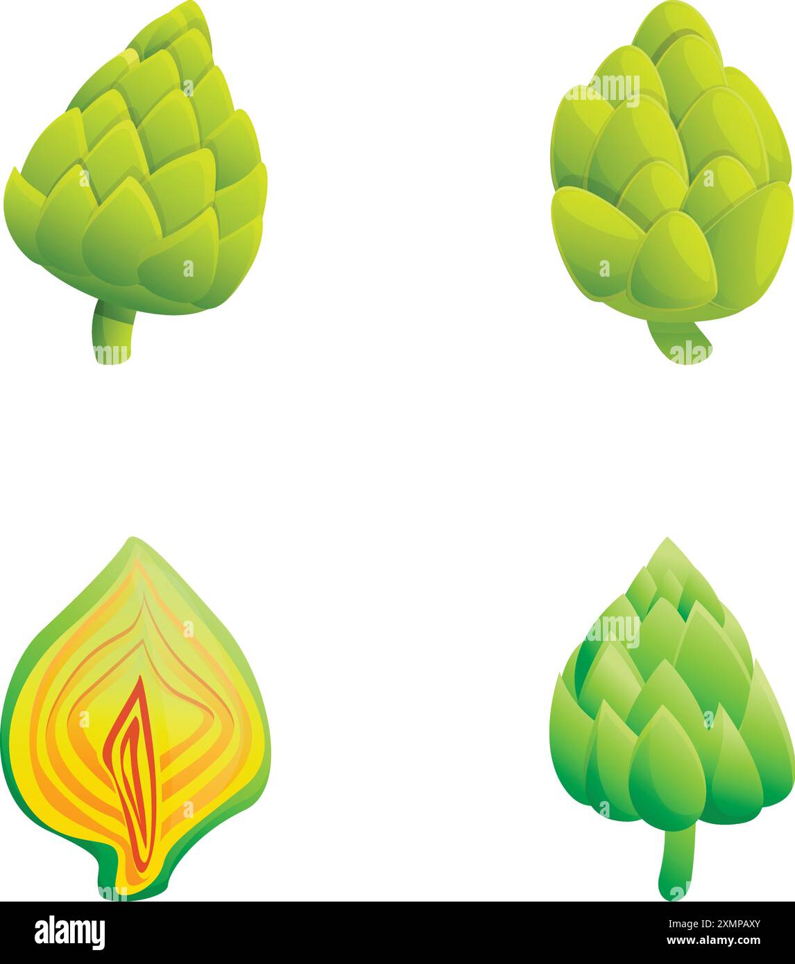 Fresh artichoke icons set cartoon vector. Whole artichoke and cut in ...