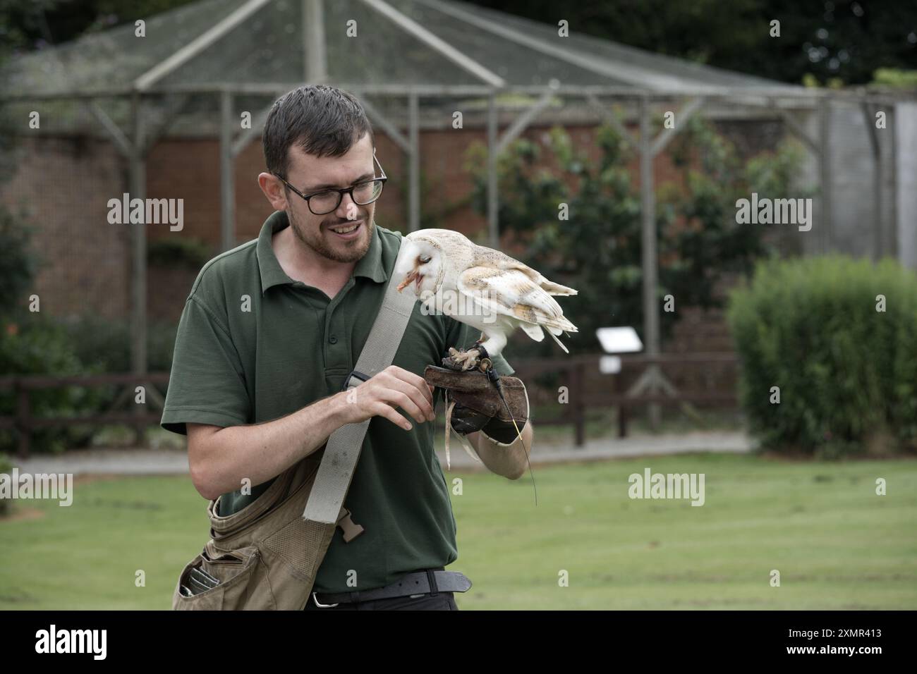 A Common Barn Owl perched on it's handler during a display at Thorp Perrow Arboretum Stock Photo