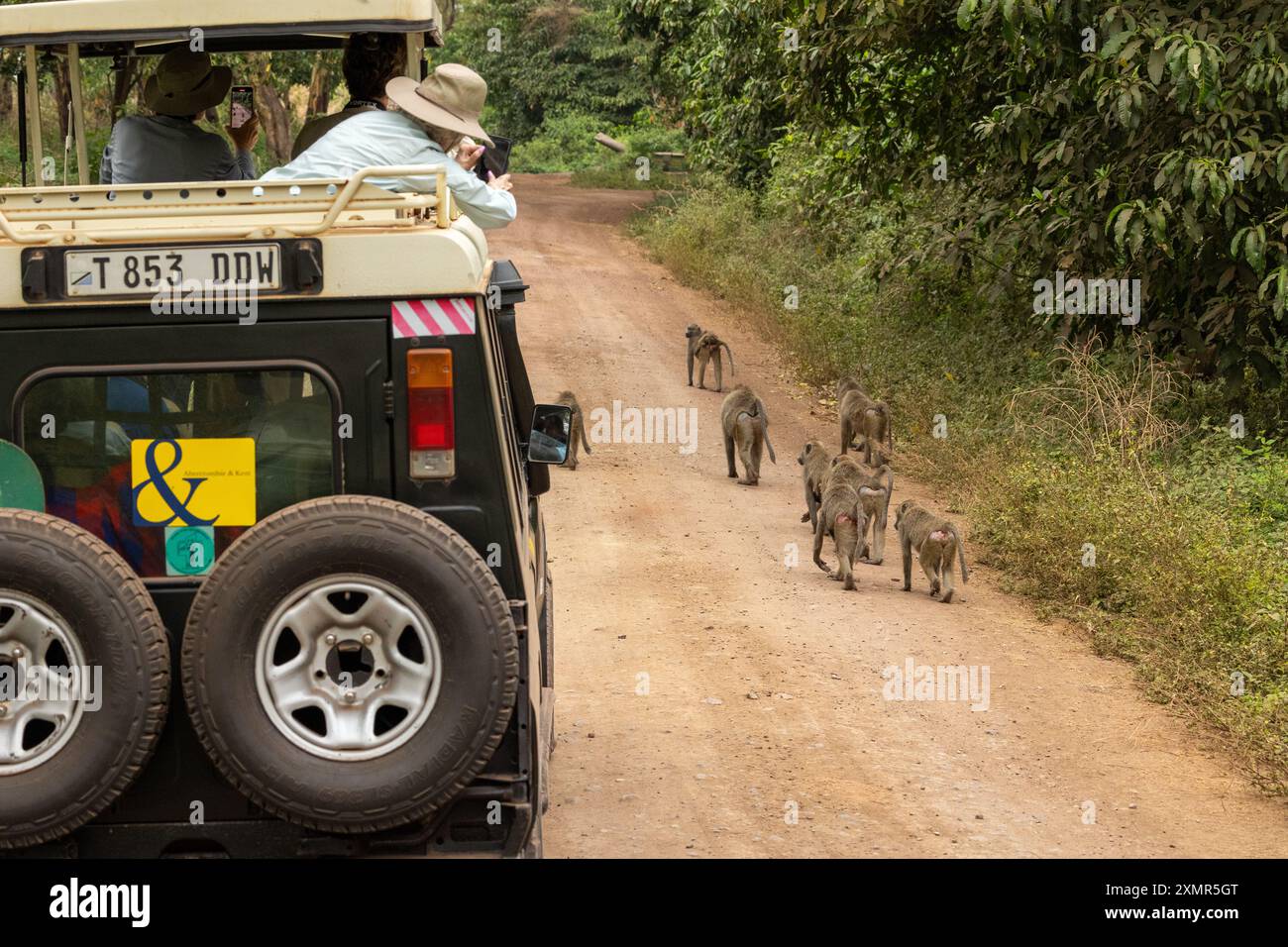 Tanzania toyota hi-res stock photography and images - Alamy
