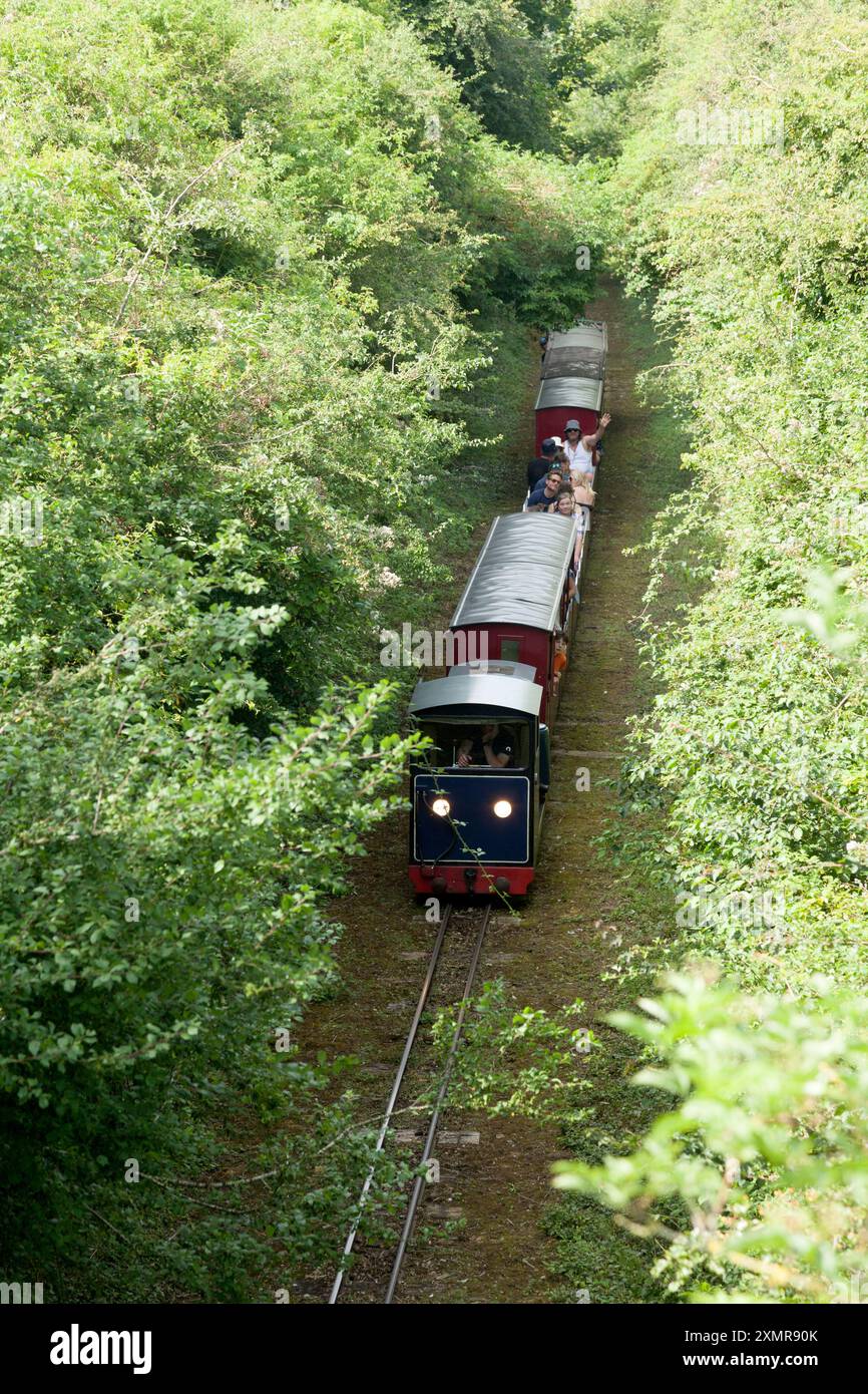 Train on the Wells and Walsingham Light Railway, Wighton, Norfolk Stock Photo