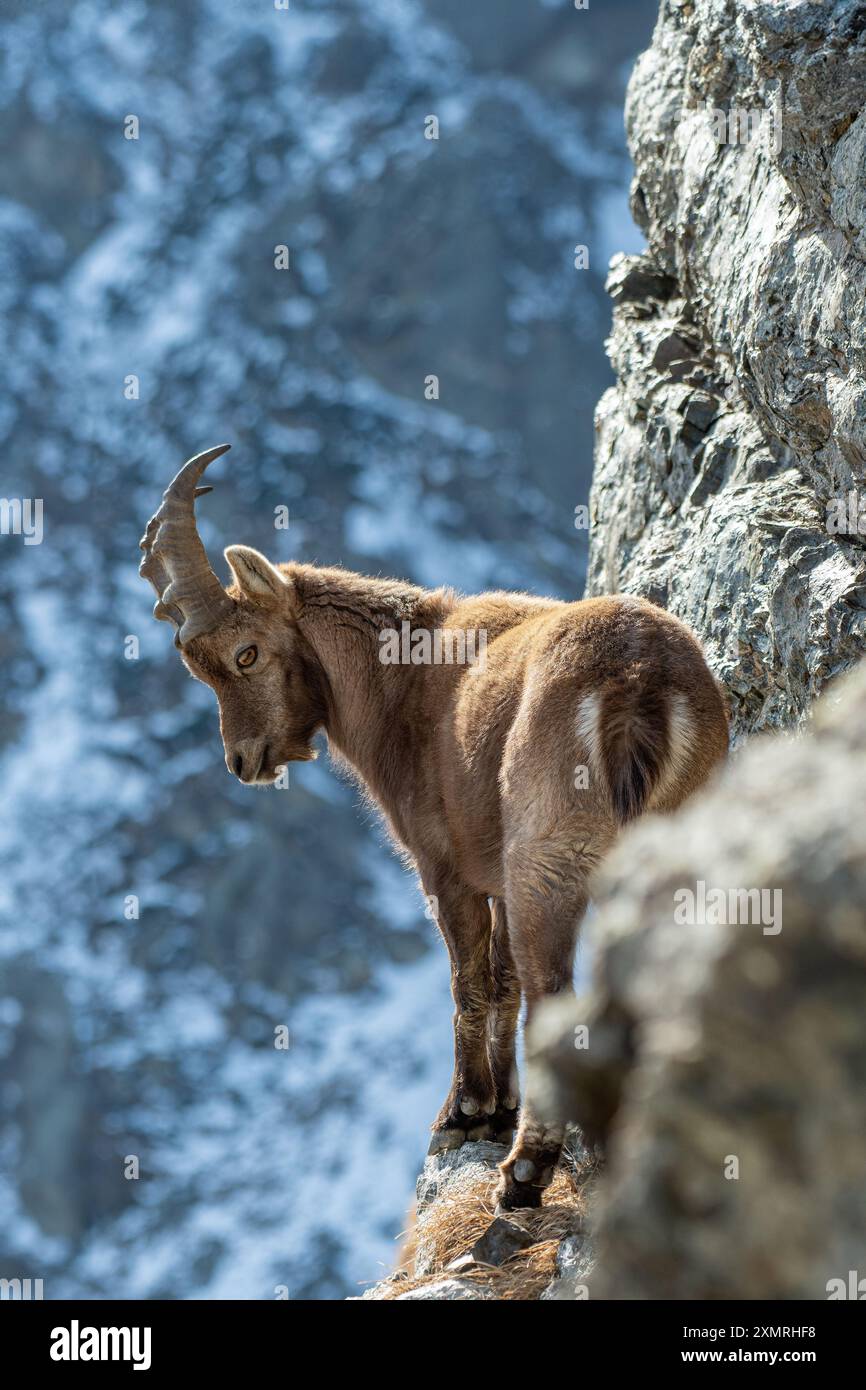 Incredibly Steep Hi res Stock Photography And Images Alamy
