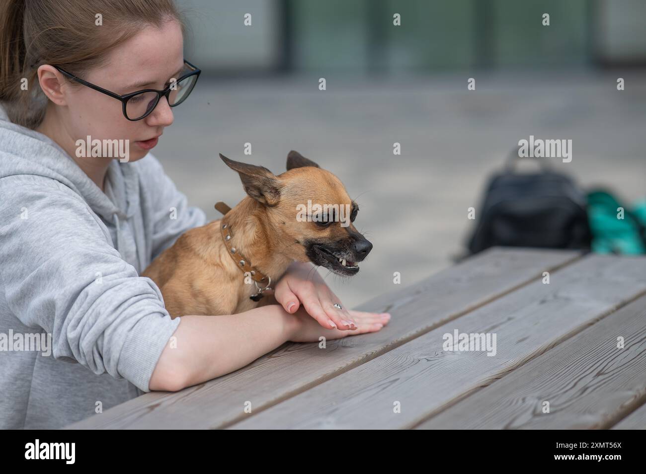Aggressive Walk Girl walking dog during summer hi-res stock photography and images - Alamy
