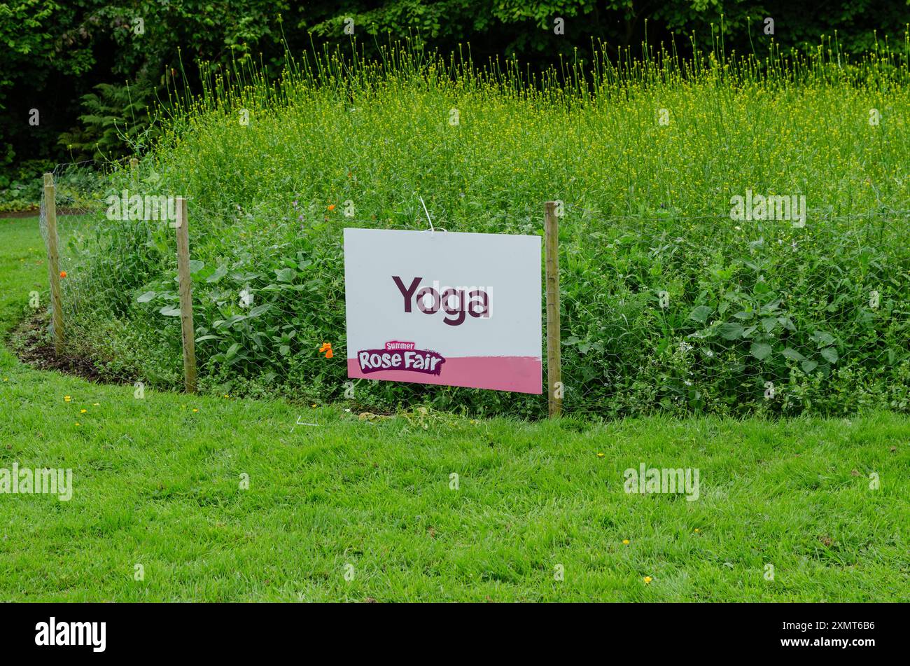 Yoga sign at the edge of a lawn offering Yoga class at a Rose Fair in Belfast Stock Photo