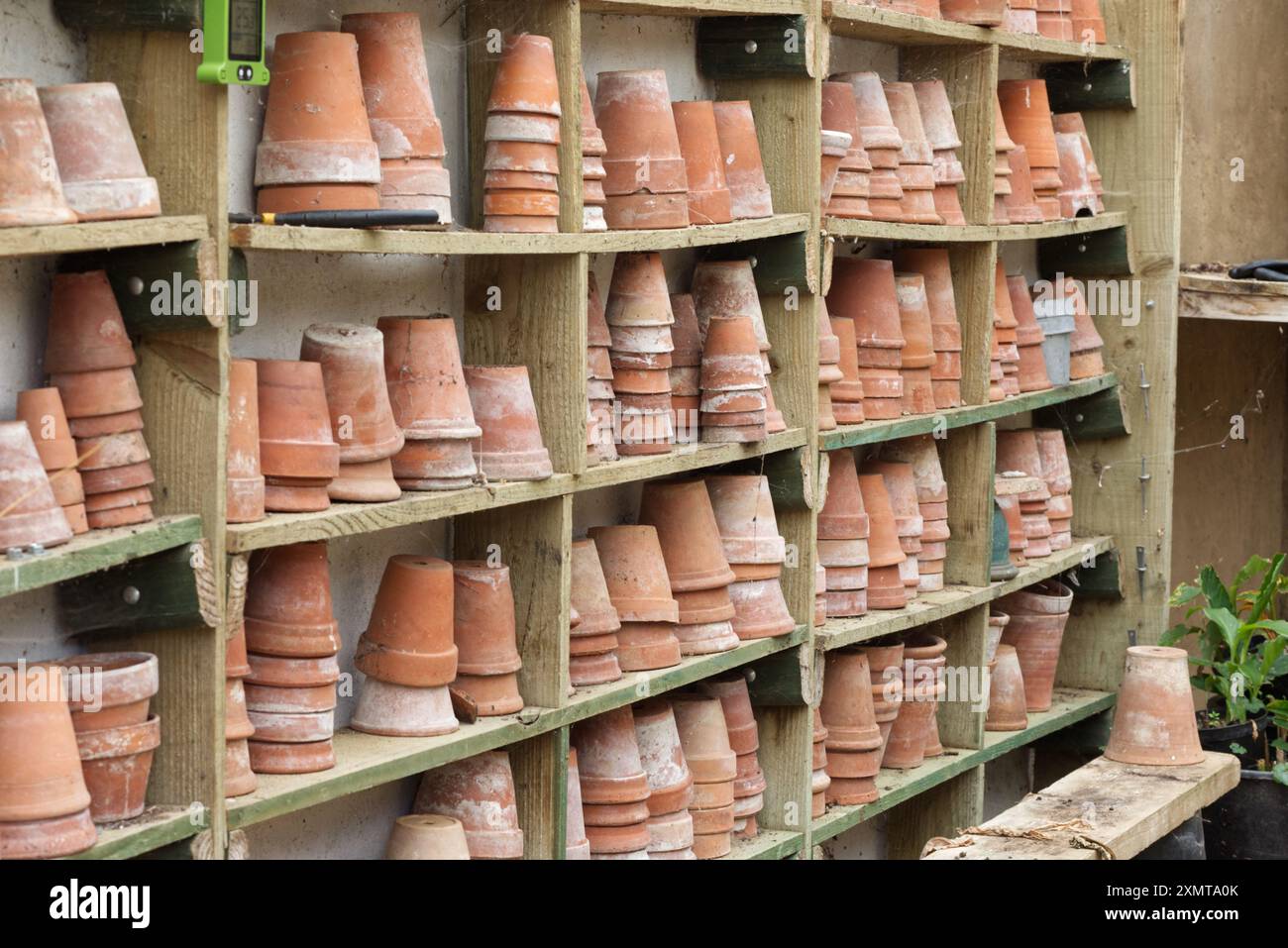 terracotta pots on wooden shelving in a potting shed Stock Photo - Alamy