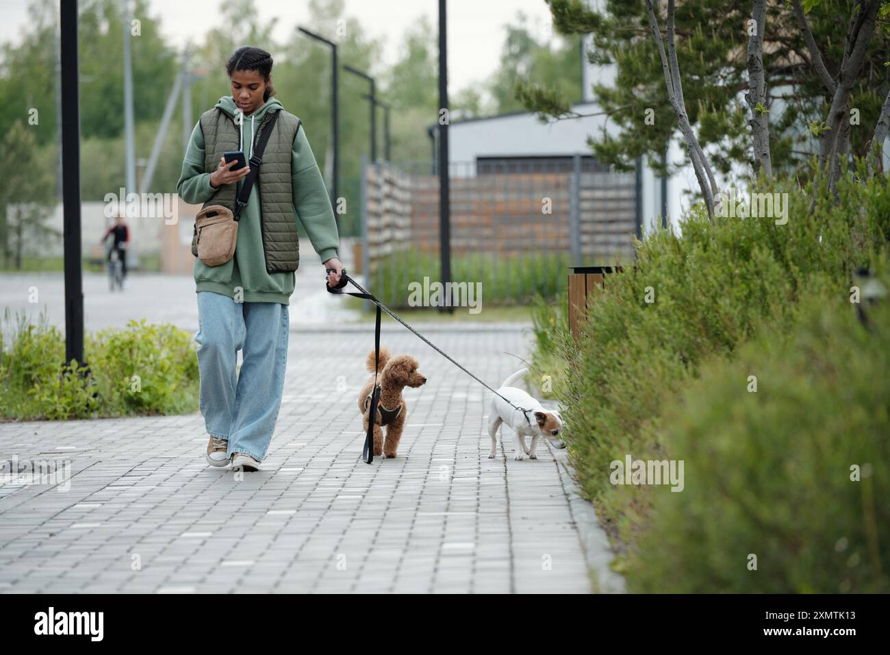 Teen girl walking dog hi-res stock photography and images - Alamy