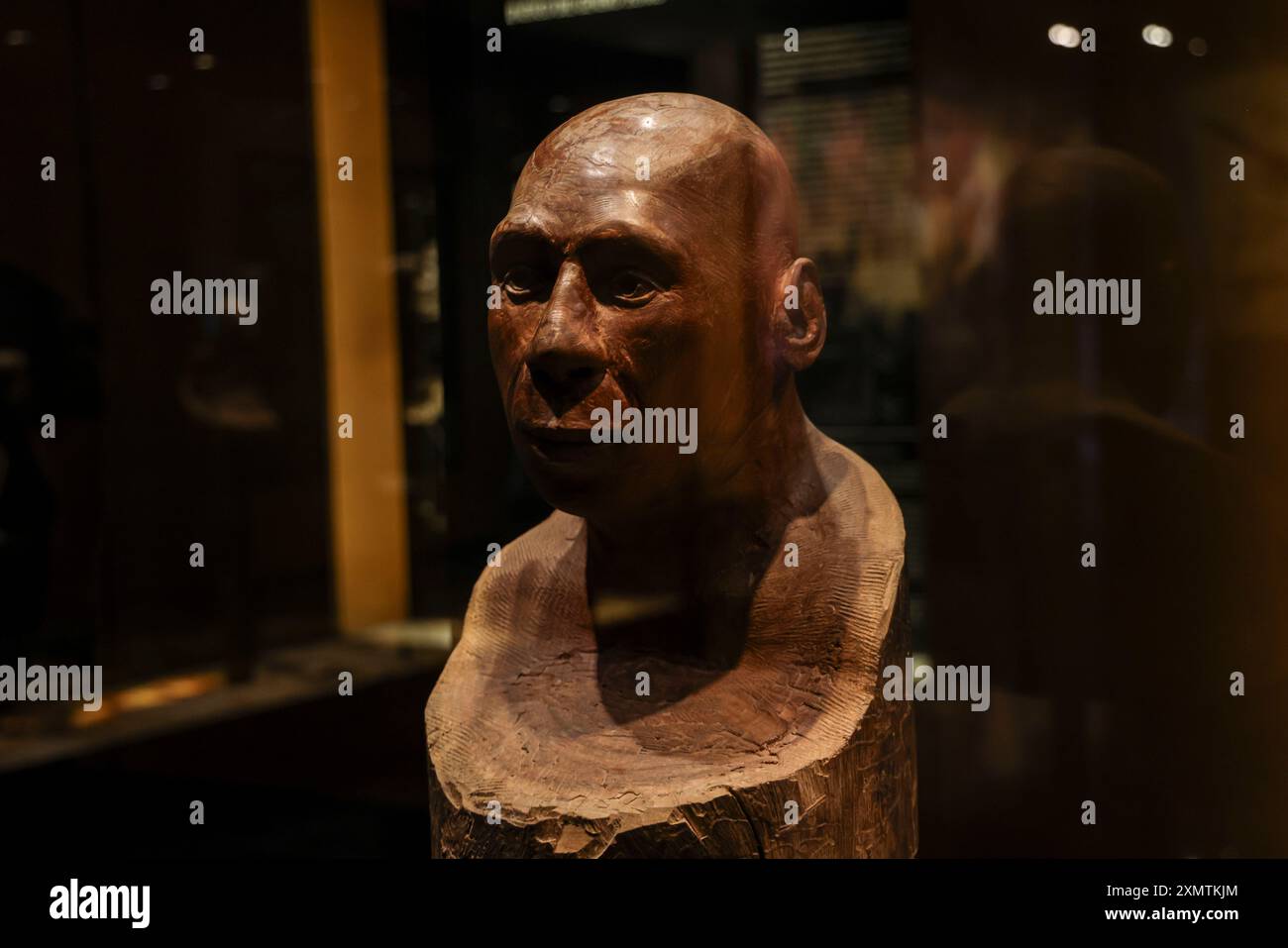 Caveman, Neanderthal, Primate, Homo Habilis, Homo Rudolfensis, Homo ...