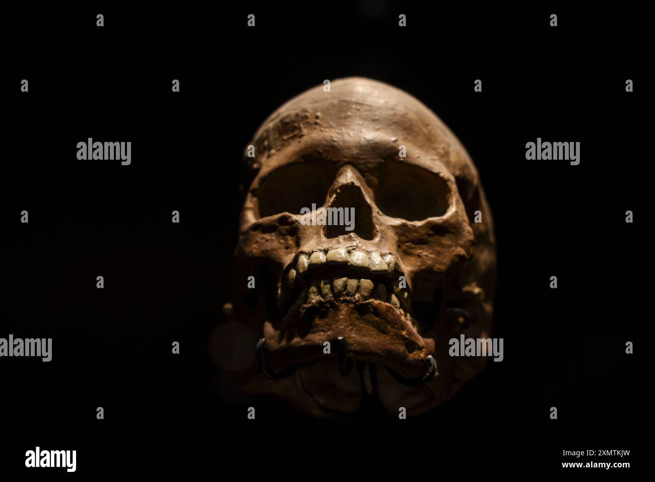 Caveman, Neanderthal, Primate, Homo Habilis, Homo Rudolfensis, Homo ...