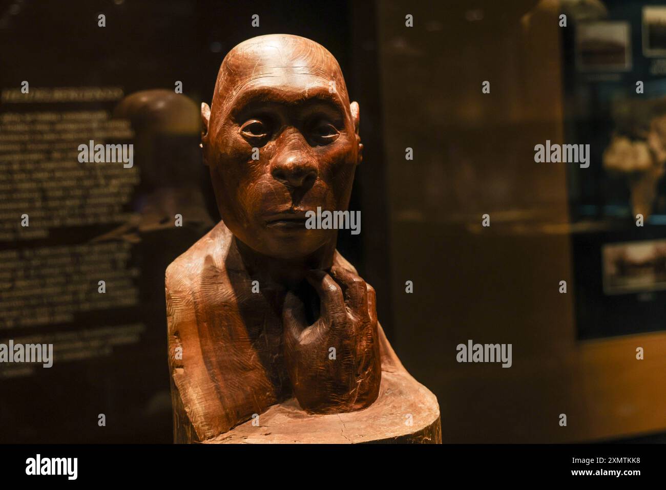 Caveman, Neanderthal, Primate, Homo Habilis, Homo Rudolfensis, Homo ...