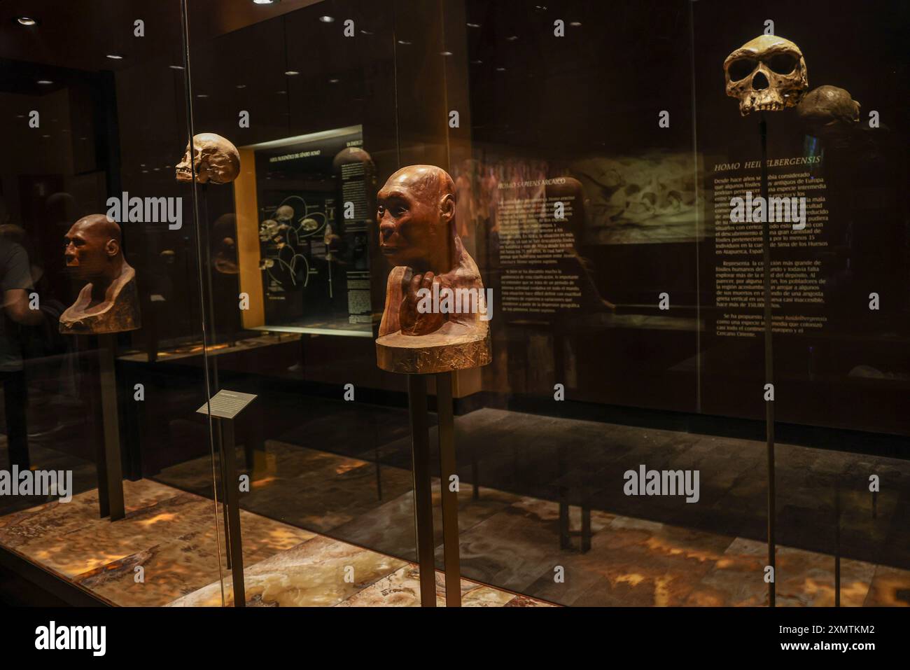 Caveman, Neanderthal, Primate, Homo Habilis, Homo Rudolfensis, Homo ...