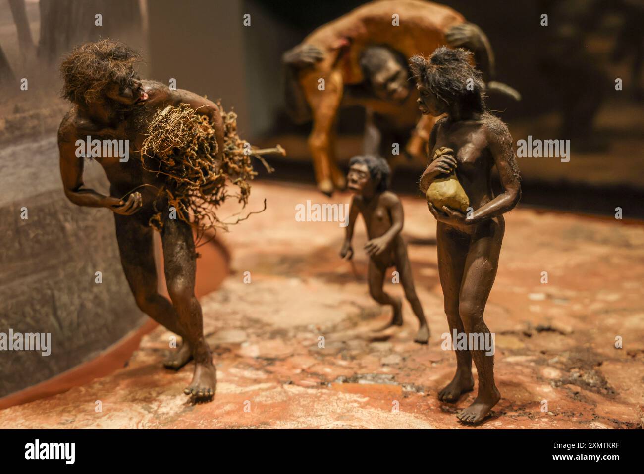 Caveman, Neanderthal, Primate, Homo Habilis, Homo Rudolfensis, Homo ...