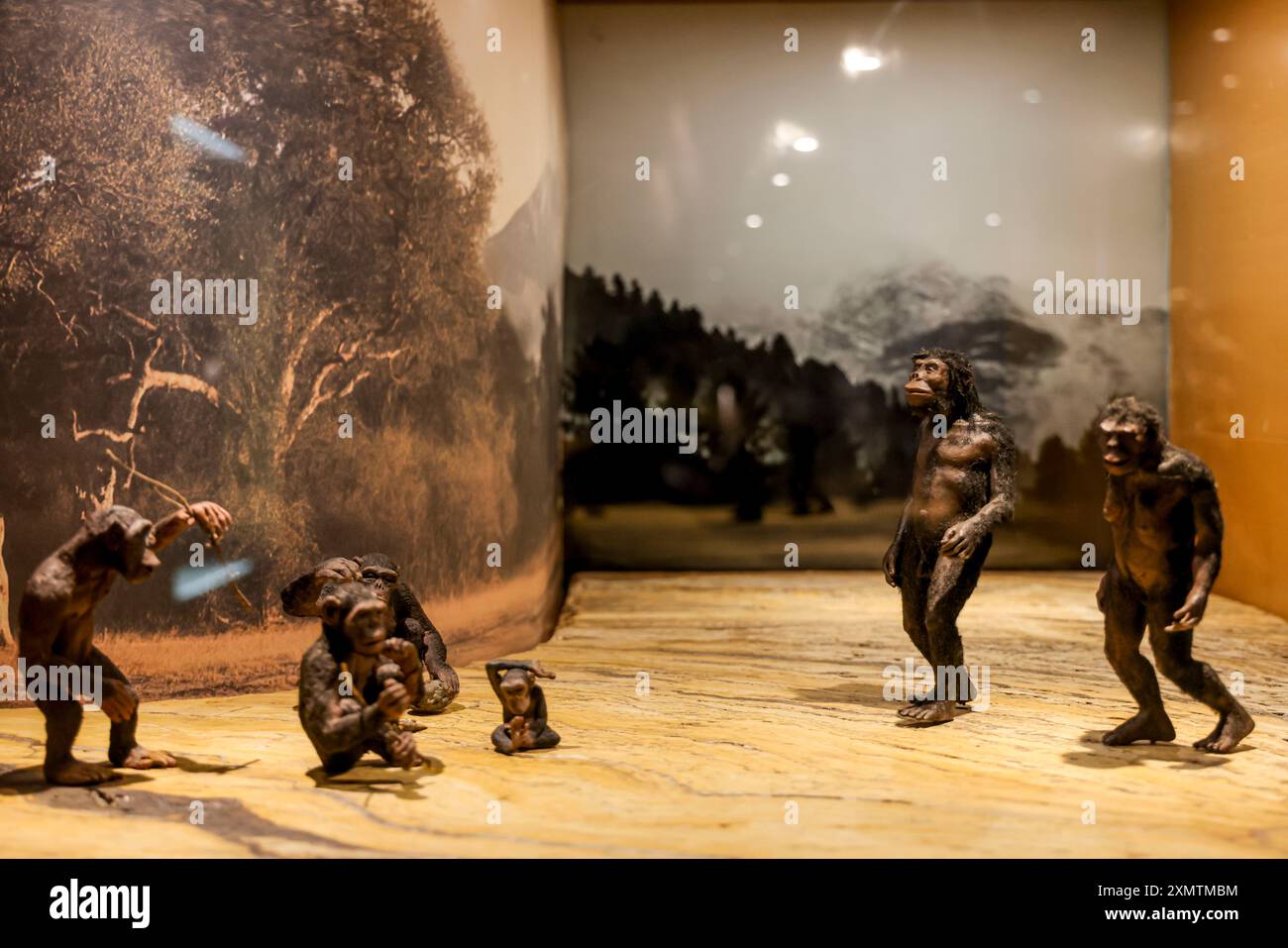 Caveman, Neanderthal, Primate, Homo Habilis, Homo Rudolfensis, Homo ...