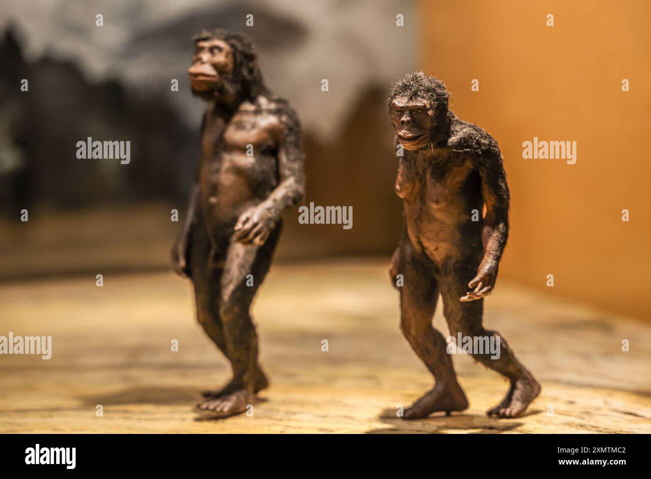 Caveman, Neanderthal, Primate, Homo Habilis, Homo Rudolfensis, Homo ...
