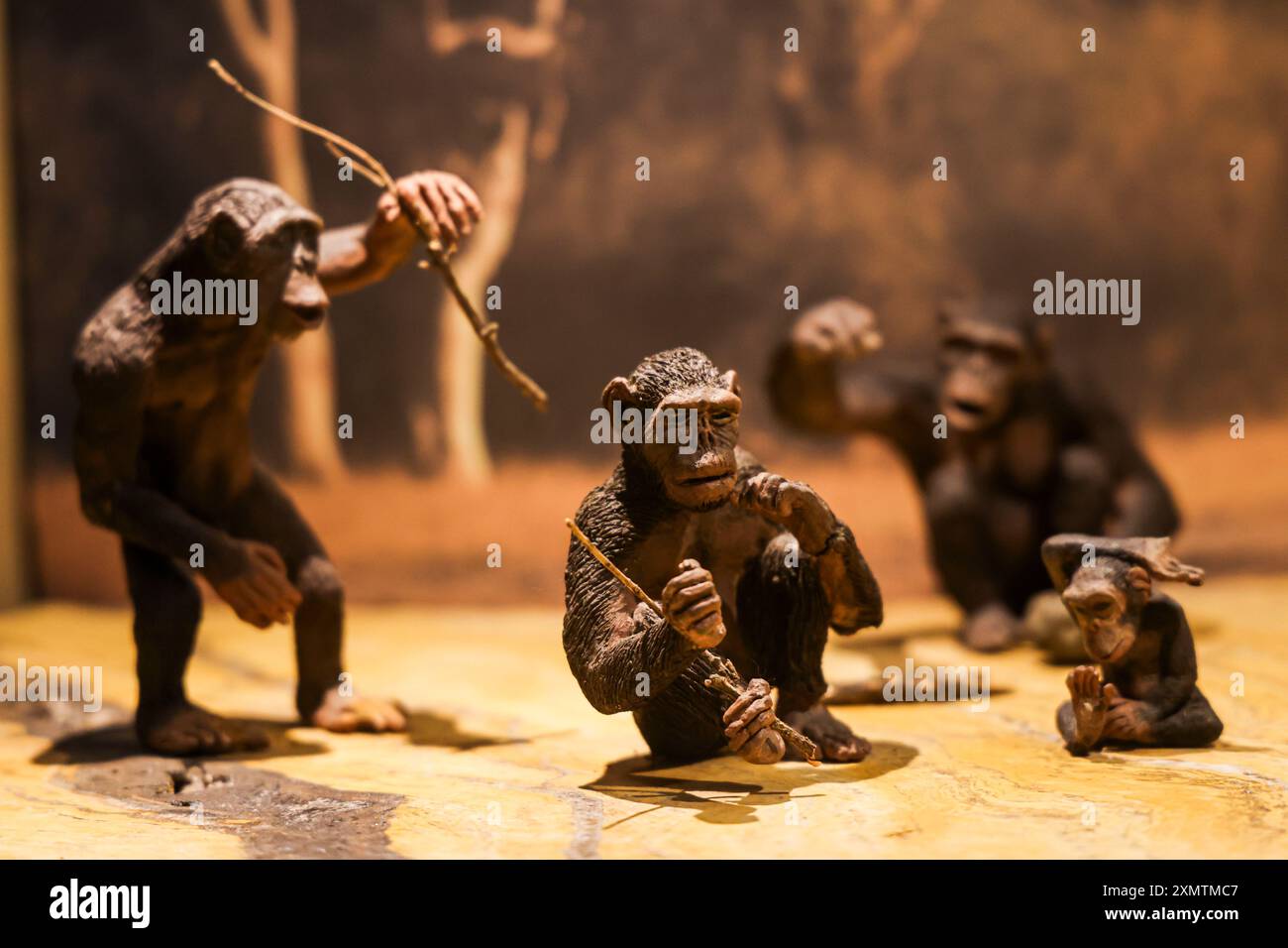 Caveman, Neanderthal, Primate, Homo Habilis, Homo Rudolfensis, Homo ...