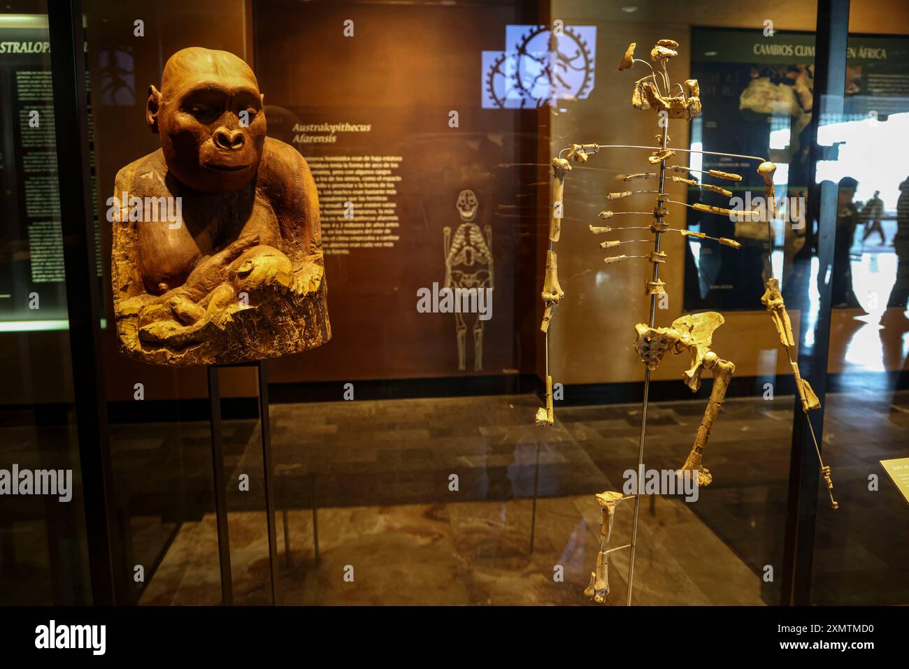 Caveman, Neanderthal, Primate, Homo Habilis, Homo Rudolfensis, Homo