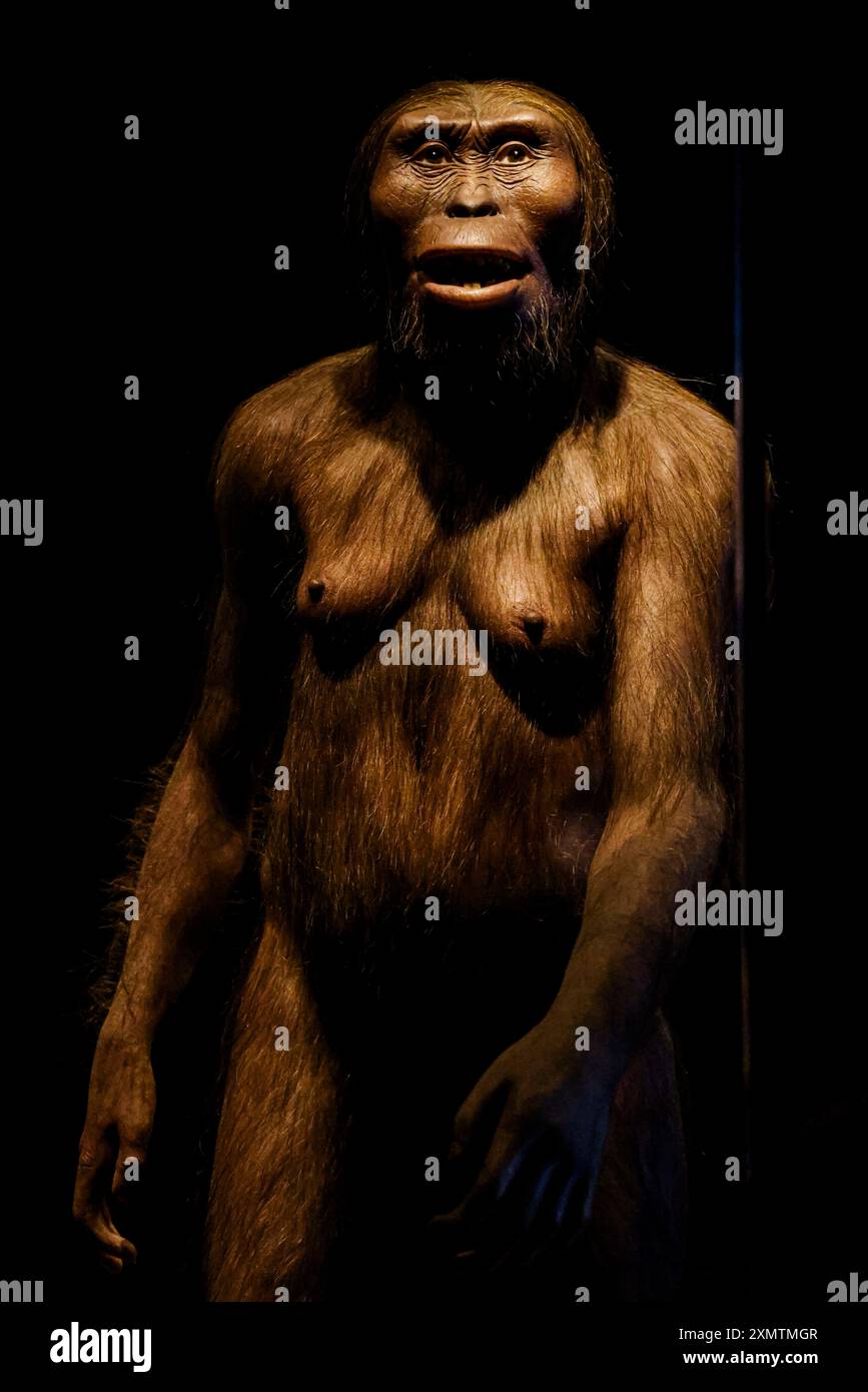 Caveman, Neanderthal, Primate, Homo Habilis, Homo Rudolfensis, Homo ...