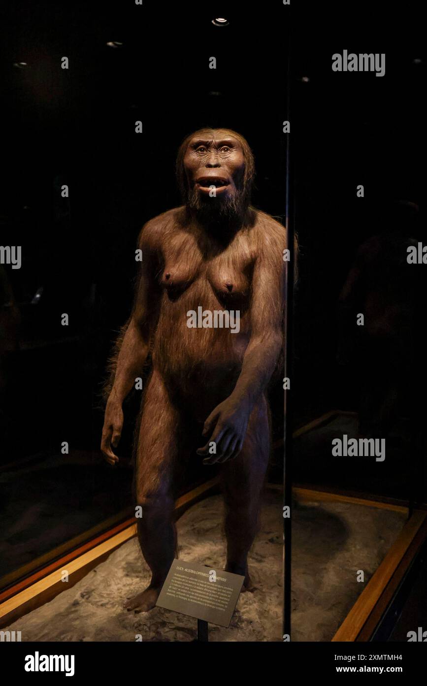 Caveman, Neanderthal, Primate, Homo Habilis, Homo Rudolfensis, Homo ...