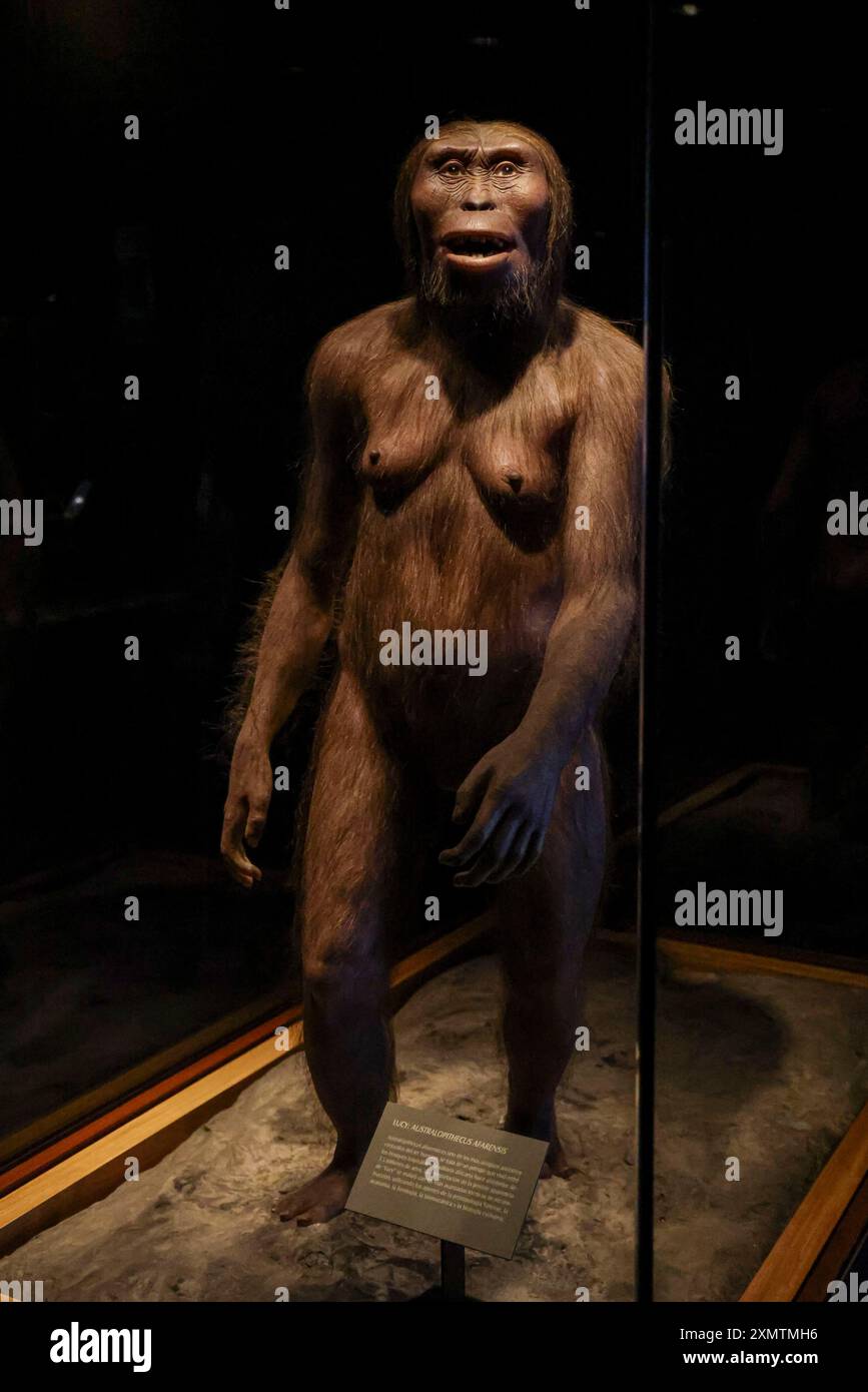 Caveman, Neanderthal, Primate, Homo Habilis, Homo Rudolfensis, Homo ...