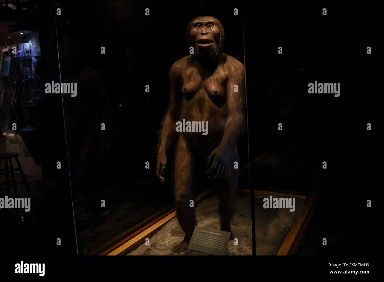 Caveman, Neanderthal, Primate, Homo Habilis, Homo Rudolfensis, Homo ...